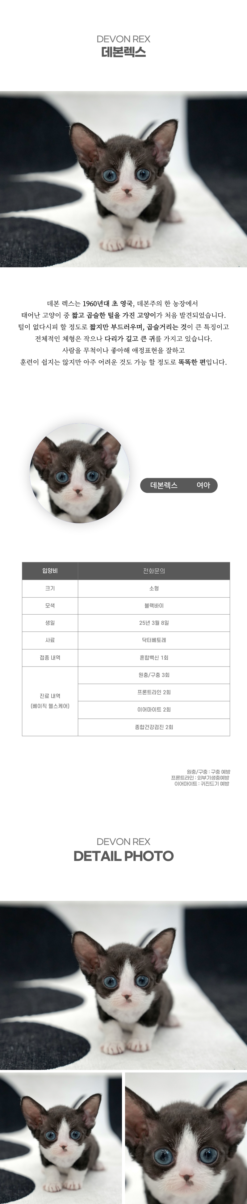 데본렉스_상세이미지_2